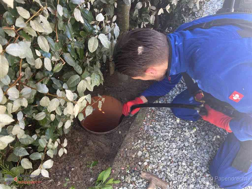 Rioolvliegjes Papendrecht Rioolvliegjes Papendrecht